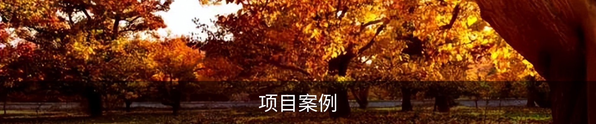 项目案例